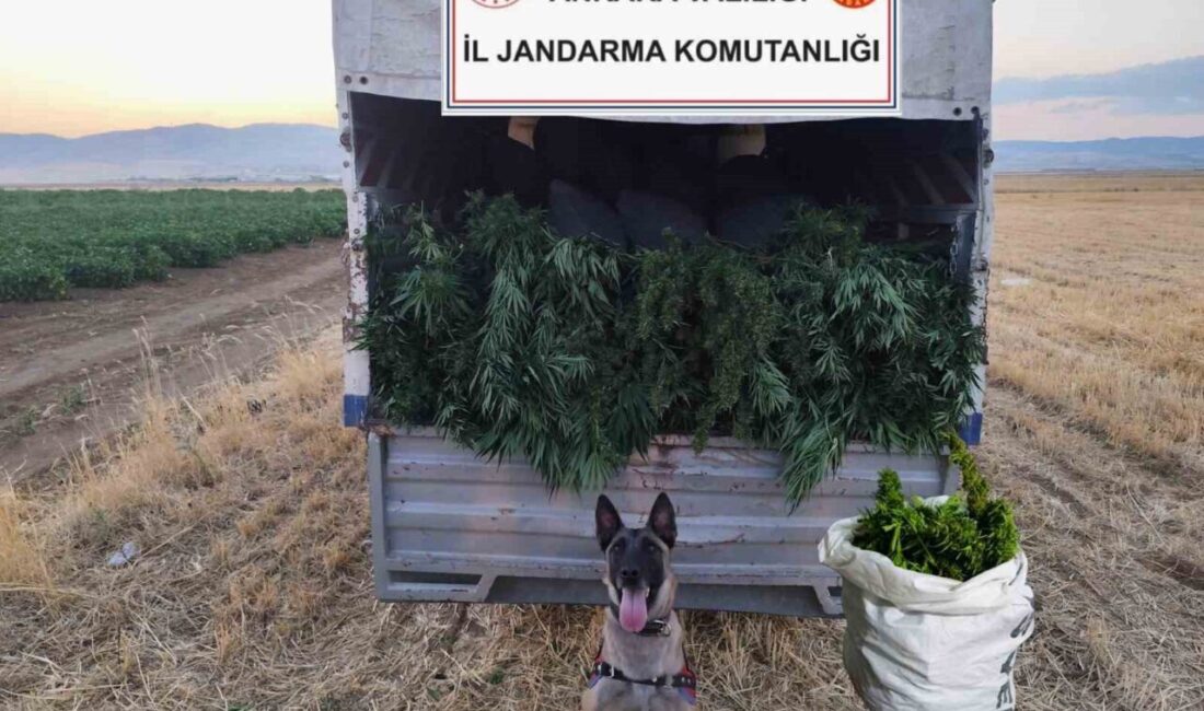 Sincan'da düzenlenen uyuşturucu operasyonunda jandarma ekipleri 2 kişiyi gözaltına aldı.