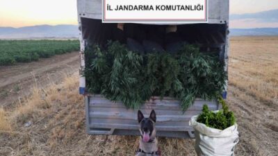 Sincan'da düzenlenen uyuşturucu operasyonunda jandarma ekipleri 2 kişiyi gözaltına aldı.