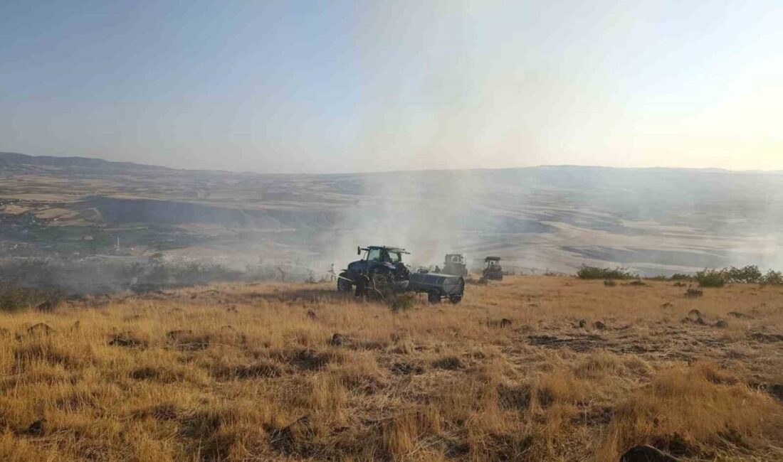 Ankara'nın Ayaş ilçesindeki otluk alanda çıkan yangın, itfaiye ve jandarma