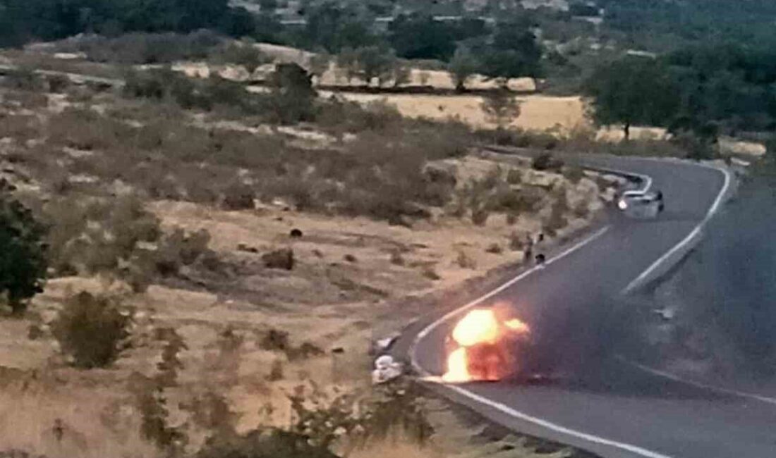 Ankara'nın Güdül ilçesinde seyir halindeki bir otomobilde çıkan yangın rüzgarın
