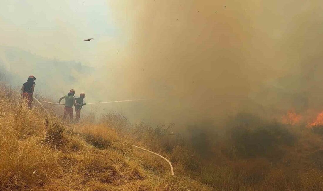 Arnavutluk'ta devam eden orman yangınlarında hayatını kaybeden 1 kişi ve