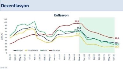 Hazine ve Maliye Bakanı Mehmet Şimşek, Türkiye İstatistik Kurumu'nun Temmuz