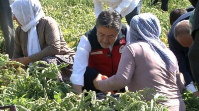 Tarım ve Orman Bakanı İbrahim Yumaklı, Türkiye'nin domates üretiminde dünyada