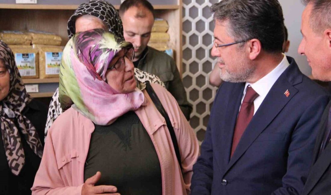 Tarım ve Orman Bakanı İbrahim Yumaklı, Çorum'da Şap hastalığıyla ilgili