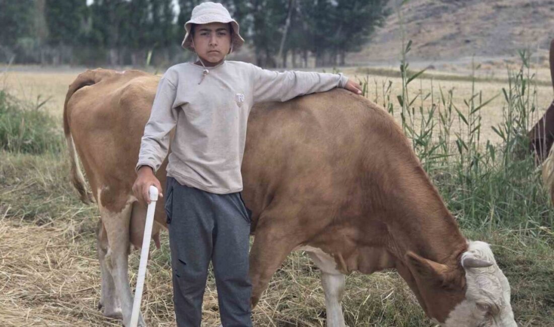 Yozgat'ın Araplı kasabasında yaşayan 12 yaşındaki Alperen Atıl, yaz tatillerinde
