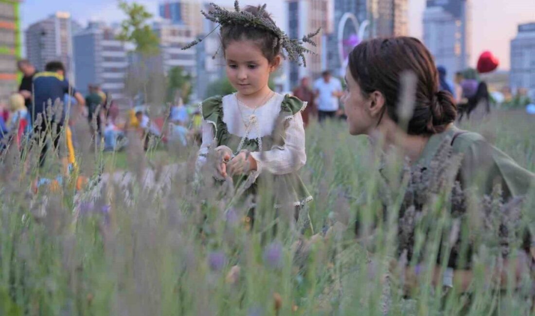 Başkent, Keçiören'de düzenlenen 2. Geleneksel Lavanta Festivali'ne ilgi gösterdi. Festival,