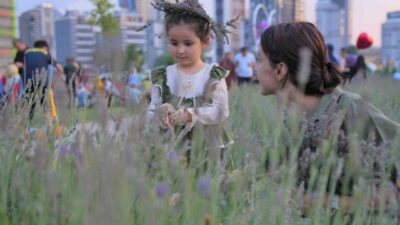 Başkent, Keçiören'de düzenlenen 2. Geleneksel Lavanta Festivali'ne ilgi gösterdi. Festival,