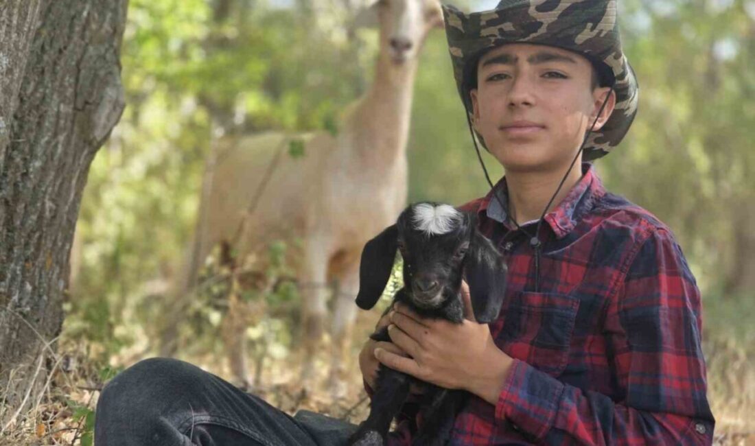 Yozgatlı çoban Muhammed Emre Başar, oğlağına isim arıyor. Başar, minik