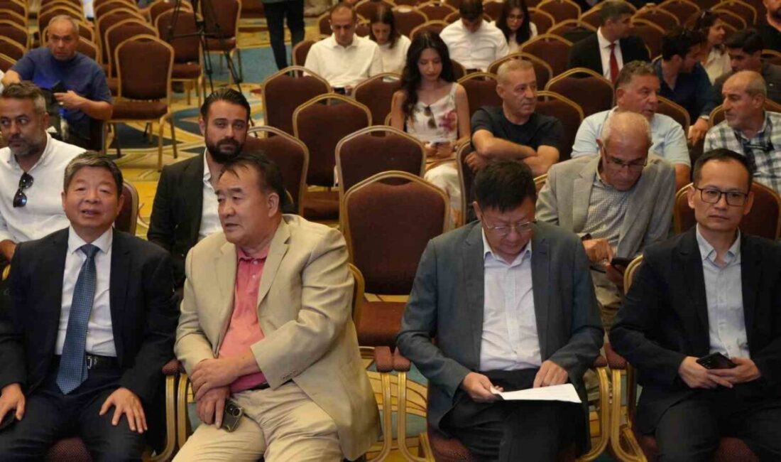 China Town Ankara Projesi, Ankara'da düzenlenen tanıtımla, Çin ve Türkiye