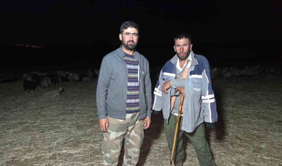 Sıcak hava dalgası çobanları gece otlatmaya yöneltti. Hem hayvanları hem