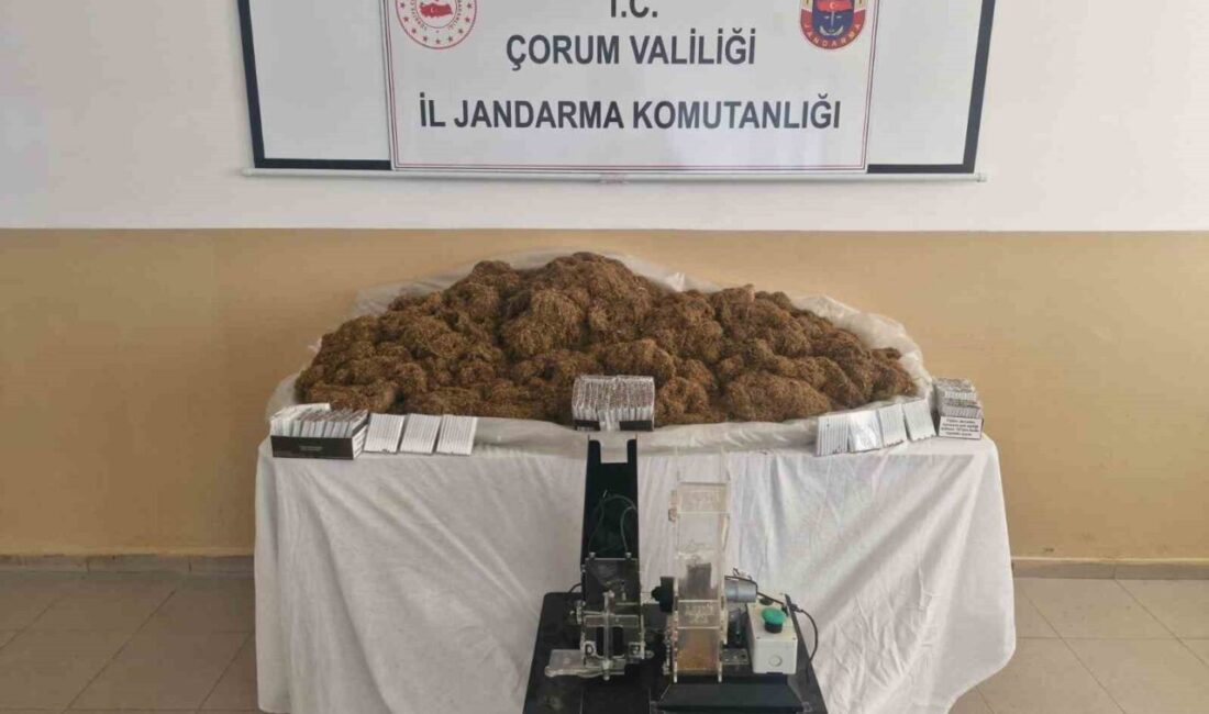 Çorum'un Alaca ilçesinde jandarma ekipleri tarafından yapılan operasyonda, A.D.'ye ait