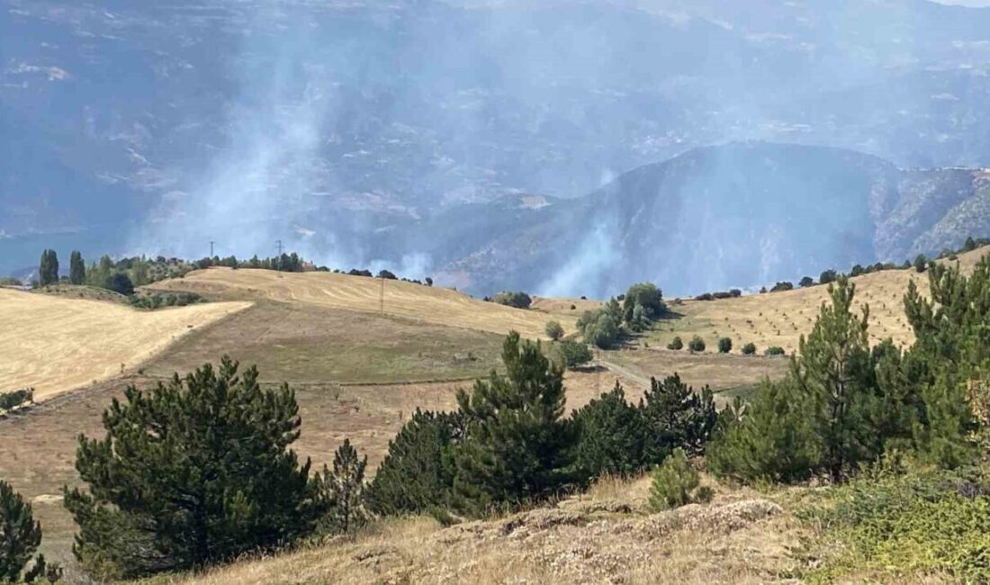 Çorum'un Merkez ilçesi Çalyayla köyünde çıkan orman yangınına itfaiye, orman