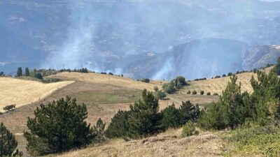 Çorum'un Merkez ilçesi Çalyayla köyünde çıkan orman yangınına itfaiye, orman