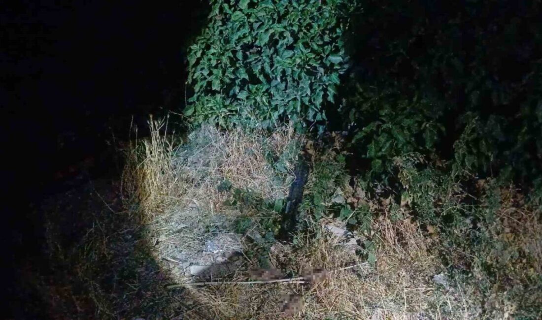 Çorum'da kimliği belirsiz kişi veya kişiler tarafından pompalı tüfekle bacağından