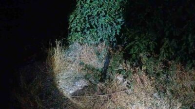 Çorum'da kimliği belirsiz kişi veya kişiler tarafından pompalı tüfekle bacağından