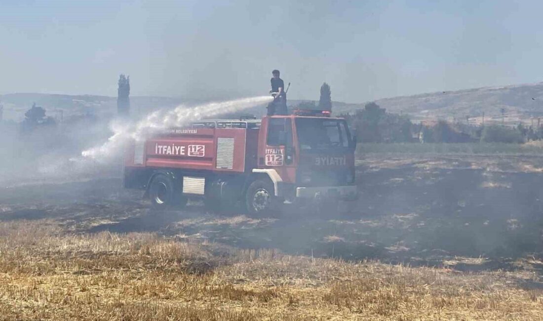 Çorfum'da Çiftlik Pınarı 24. Sokak'ta tarlada çıkan yangın, hızla yayılmadan