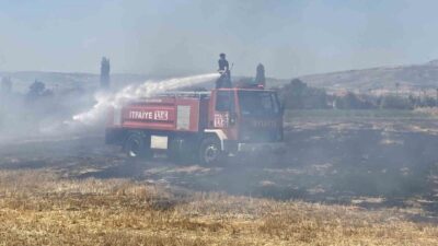 Çorfum'da Çiftlik Pınarı 24. Sokak'ta tarlada çıkan yangın, hızla yayılmadan