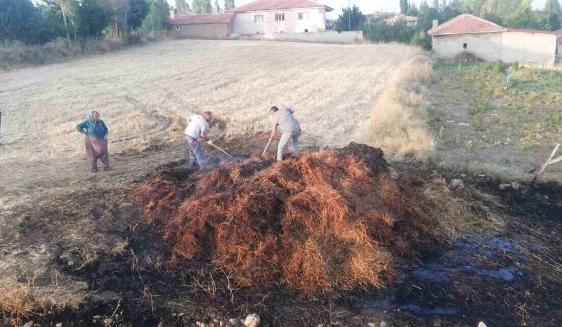 Çorum'un Sungurlu ilçesinde bir tarla yangını meydana geldi. 300 balya