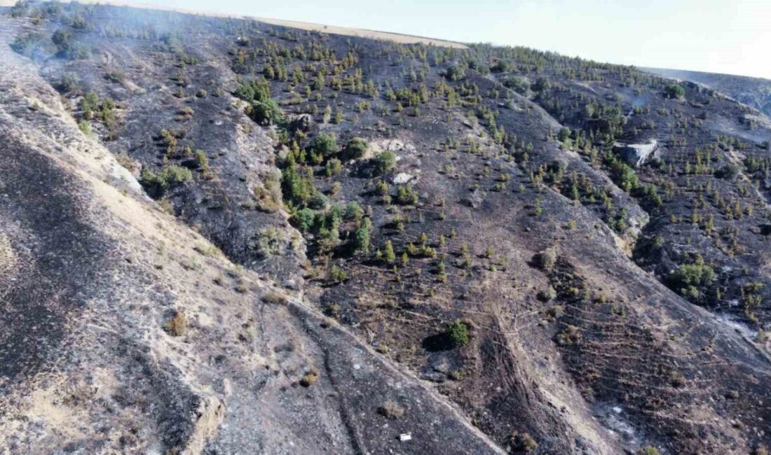 Çorum'un Alaca ilçesindeki otluk alanda çıkan ve ormana sıçrayan yangın,