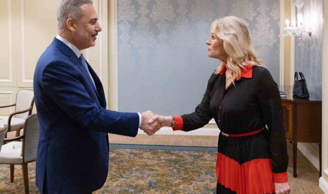 Dışişleri Bakanı Hakan Fidan, İrlanda-Türkiye Dostluk Grubu'nun organizatörü Senatör Alison