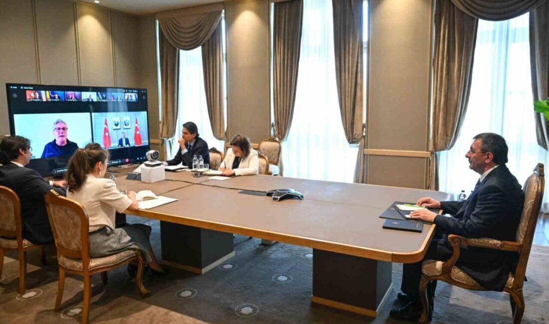 Gönüllüler Koalisyonu üyeleri, Ukrayna barış anlaşması için video konferansta bir