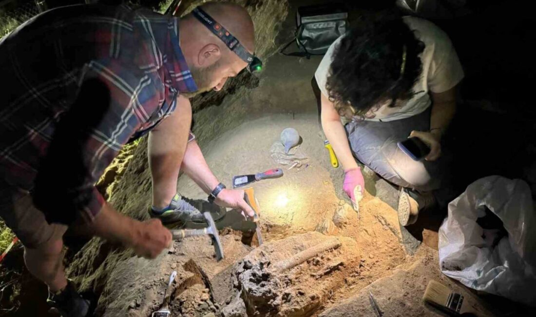 Gürcistan'ın Orozmani kasabasında 1,8 milyon yıllık insan alt çene kemiği