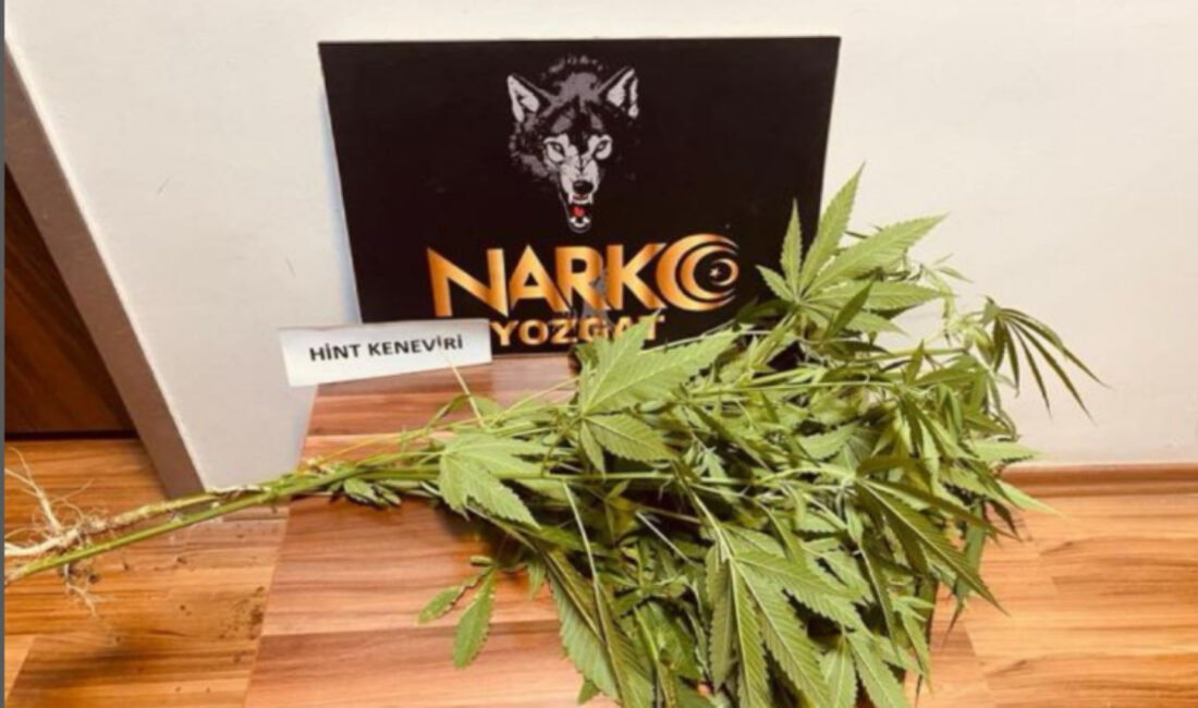 Yozgat İl Emniyet Müdürlüğü Narkotik Suçlarla Mücadele Şube Müdürlüğü ekipleri,