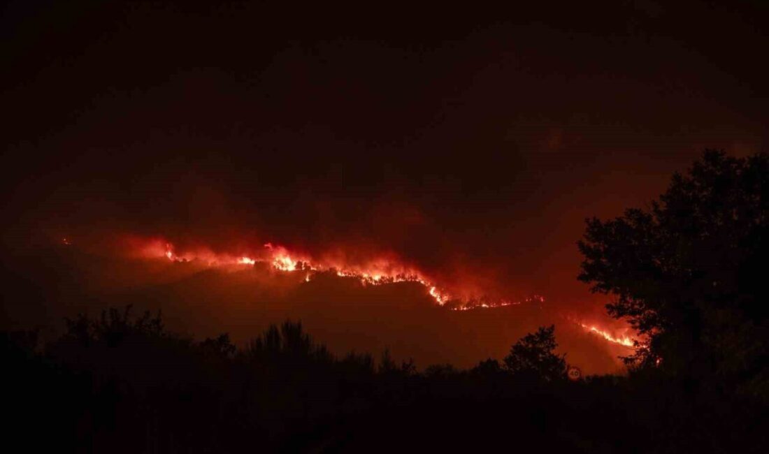İspanya'nın Castilla ve Leon bölgesinde devam eden orman yangınında ağır