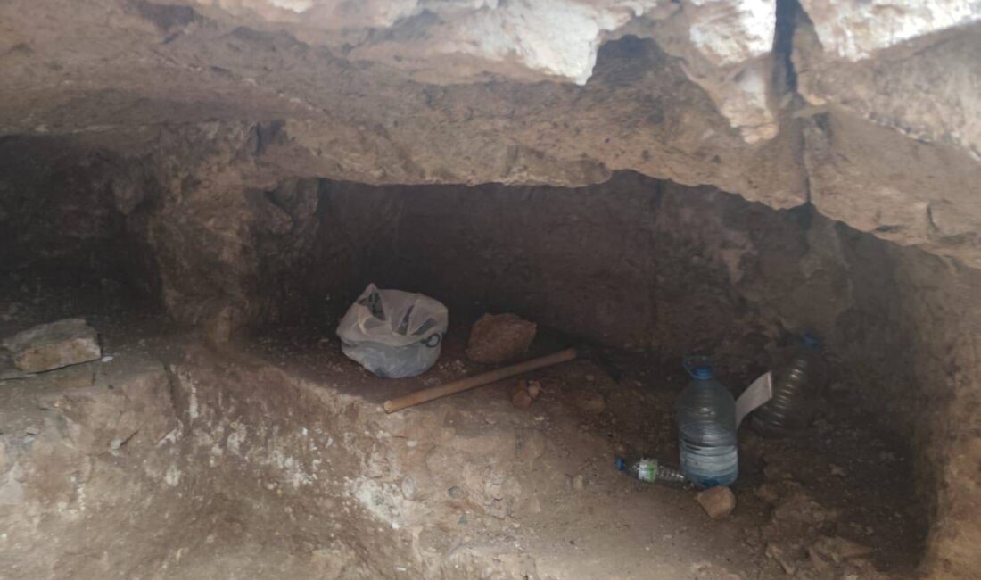 Yozgat Merkez İlçe Jandarma Komutanlığı’na bağlı ekipler, Büyüknefes Köyü Bağlar