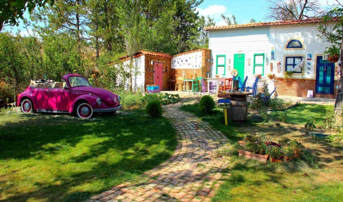 Çorum'da İpek Başaran Hıncal ve eşi, "Lavanta Kasrı" adlı fotoğraf