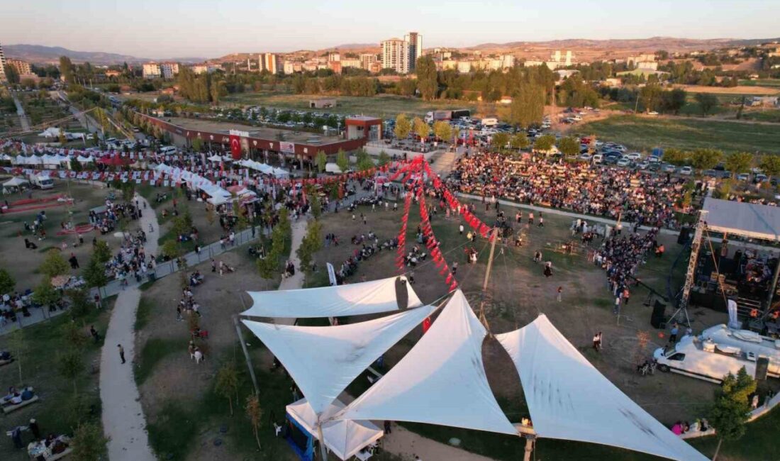 Kahramankazan'daki Uluslararası Kavurma ve Gastronomi Festivali, binlerce kavurma hayranını buluşturdu.