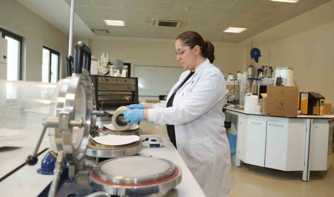 BTÜ'lü akademisyenler, atık kâğıtlardan çözünebilen saksılar üretecek. Plastik siyah poşetlerin