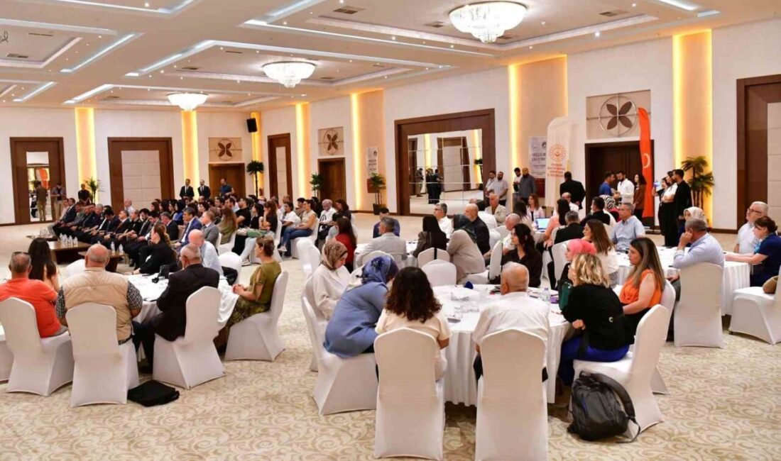 Kırşehir'de düzenlenen 'Yaşlılık Çalıştayı'nda, yaşlı bireylerin ihtiyaçları ve çözüm önerileri