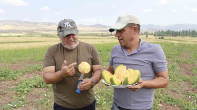 Yozgat'ın Aydıncık ilçesinde coğrafi işaret tescilli Bağrıbütün Kavunu hasat zamanı