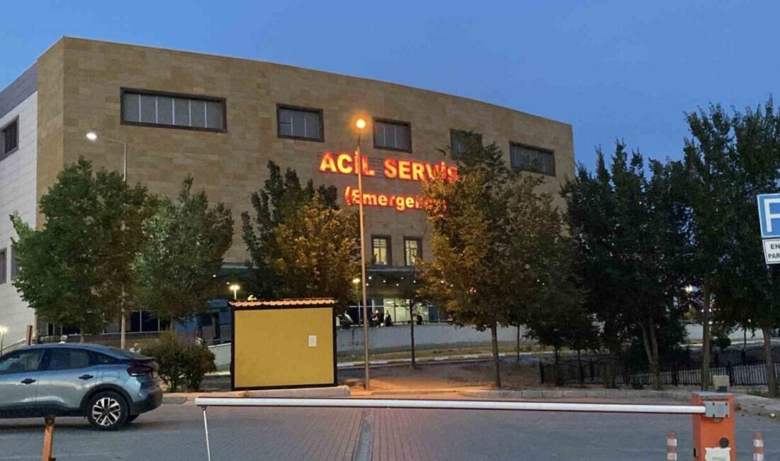 Çorum'da piknik sırasında nefes borusuna yiyecek kaçan 3 yaşındaki Yiğit