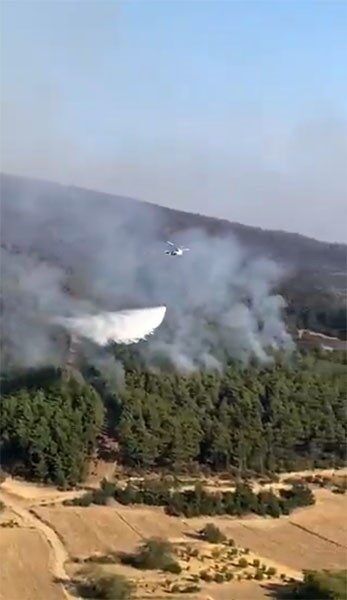 Orman Genel Müdürlüğü, Çanakkale'deki yangını kontrol altına aldığını duyurdu. Aynı