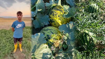 Yerköy’ün Süleymanlı köyünde üretilen doğal karpuz ve kavun satışa sunuldu.