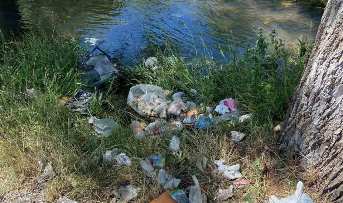 Kurtboğazı Barajı'na su taşıyan dereler, piknikçilerin çöp bırakması sonucu çöplüğe