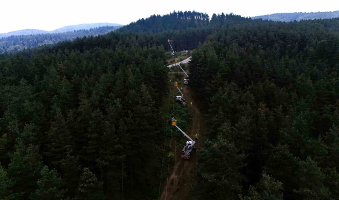 SEDAŞ, orman yangınlarını önlemek amacıyla dronlar ile enerji hatlarını denetleyerek