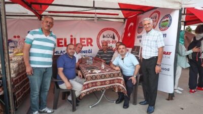 Ankara'nın Sincan Belediyesi tarafından düzenlenen 'Yaz Festivali', geniş bir yelpazede