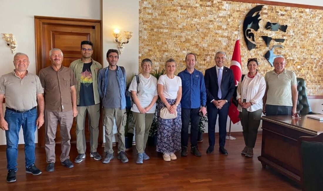 Ankara Üniversitesi Sanat Tarihi Bölümü, Beypazarı'nda bulunan Tabanlıoğlu Kalesi'nde arkeolojik