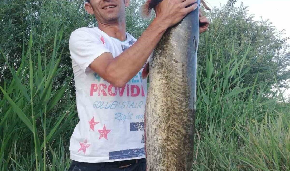 Polatlı'da çobanın "suda timsah var" ihbarıyla başlayan, 68 kiloluk dev