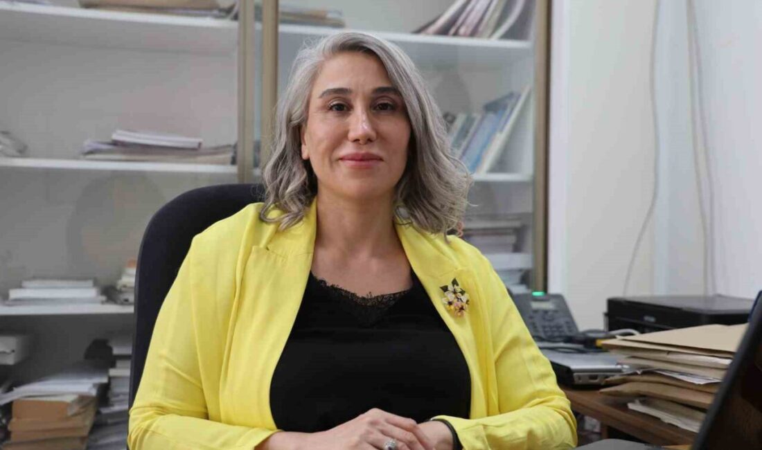 TÜBİTAK projesi kapsamında Fırat ve İnönü Üniversiteleri işbirliği ile geliştirilen