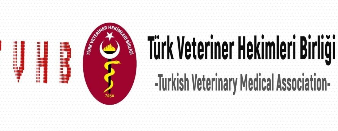 TVHB, Kars Belediyesi'ne ait barınaktaki hayvanlara şiddet uygulamasını kınayarak, hayvan