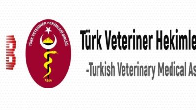 TVHB, Kars Belediyesi'ne ait barınaktaki hayvanlara şiddet uygulamasını kınayarak, hayvan