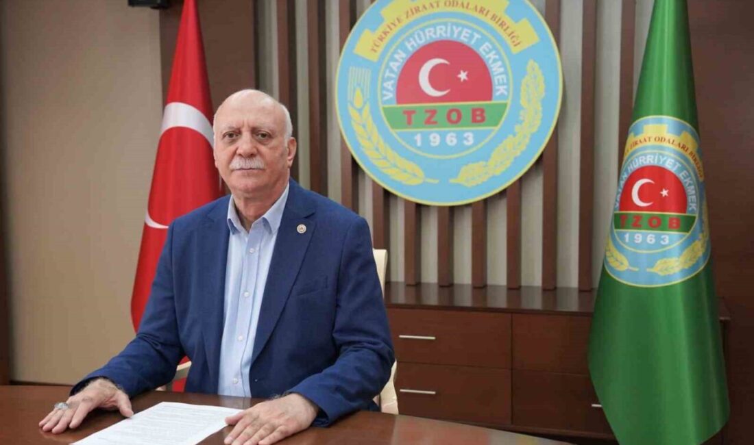 TZOB Genel Başkanı Şemsi Bayraktar, Temmuz ayında market fiyatlarında en