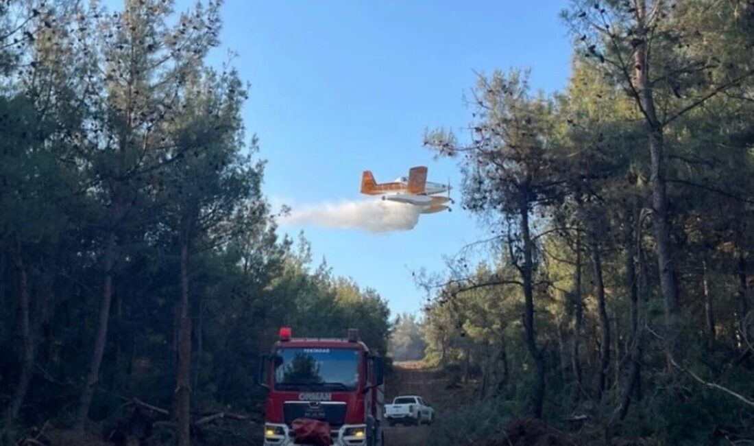 Orman Genel Müdürü Bekir Karacabey, Türkiye'de 1 Ocak-17 Ağustos arasında