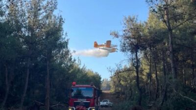Orman Genel Müdürü Bekir Karacabey, Türkiye'de 1 Ocak-17 Ağustos arasında