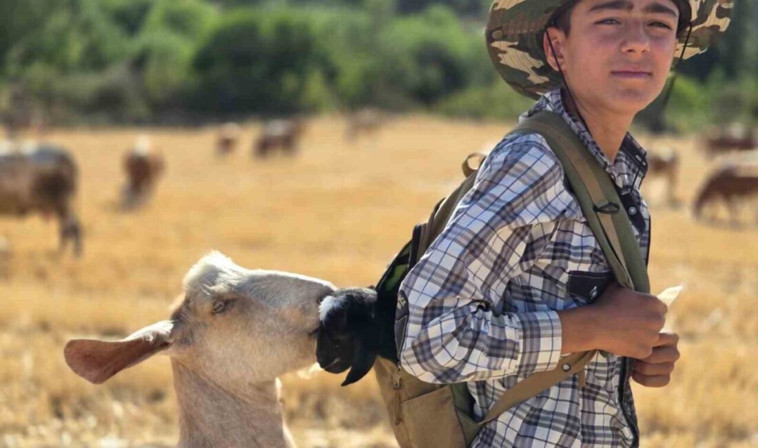 Yozgat'ın Araplı kasabasında yaşayan 14 yaşındaki Muhammed Emre Başar, keçi