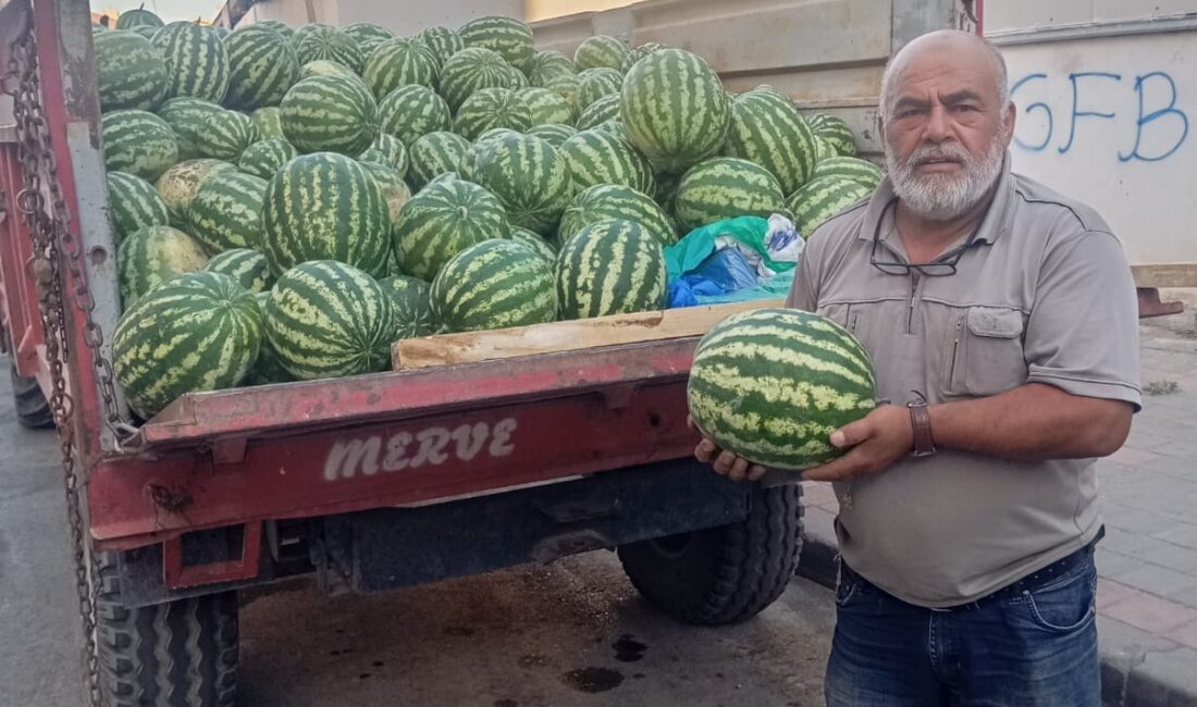 Yerköy’de yazın habercisi olan yerli karpuz hasadı başladı. Bu yıl